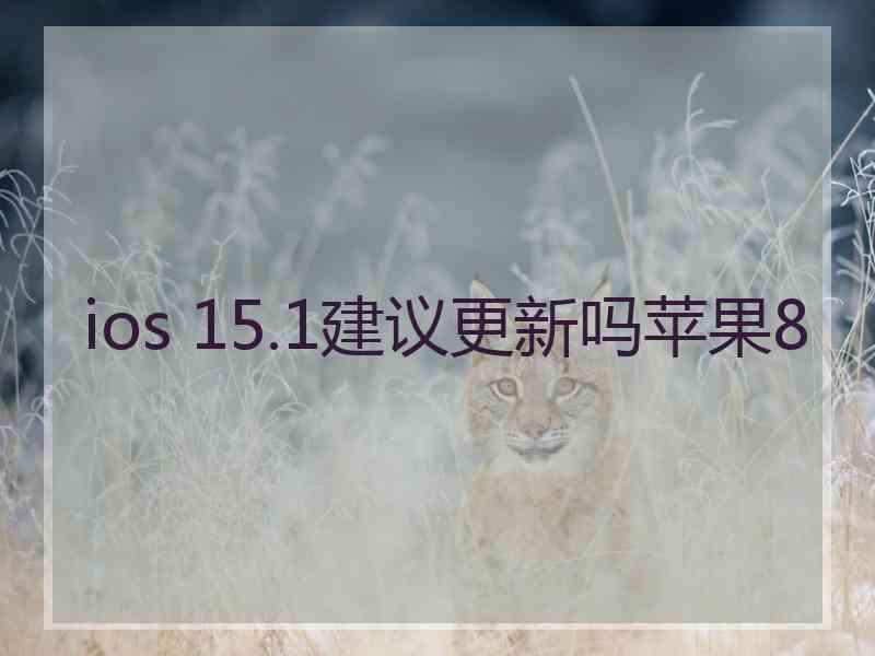 ios 15.1建议更新吗苹果8