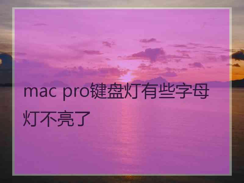 mac pro键盘灯有些字母灯不亮了