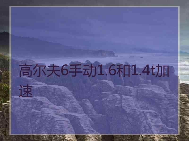 高尔夫6手动1.6和1.4t加速