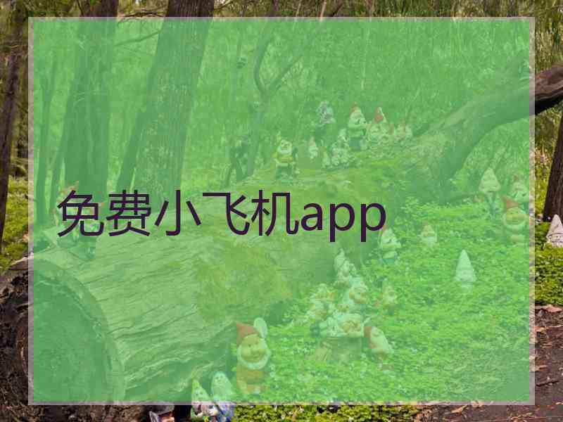 免费小飞机app