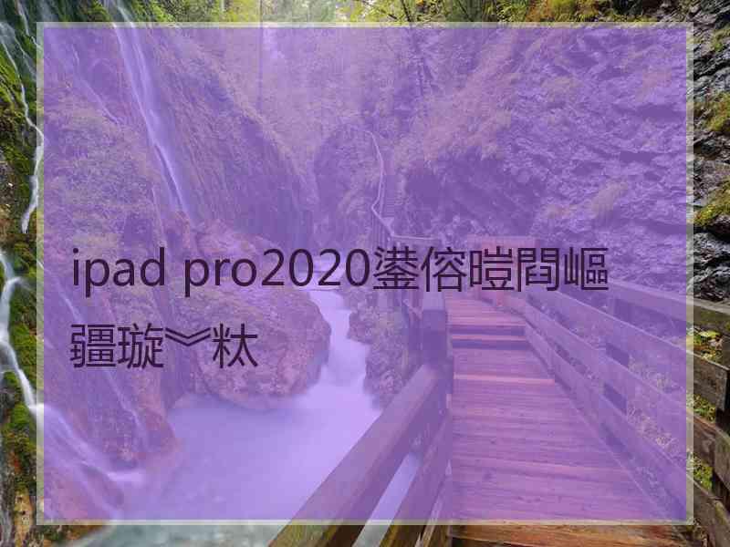 ipad pro2020鍙傛暟閰嶇疆璇︾粏