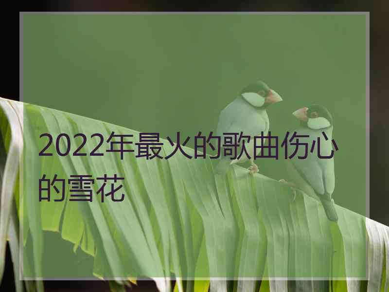 2022年最火的歌曲伤心的雪花