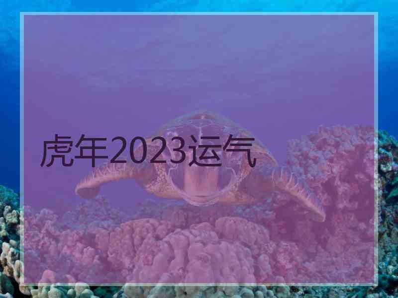 虎年2023运气