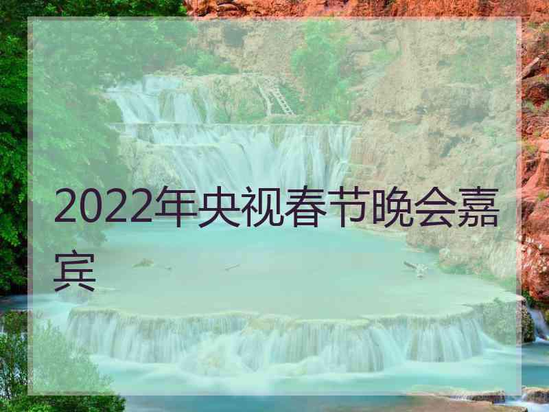 2022年央视春节晚会嘉宾