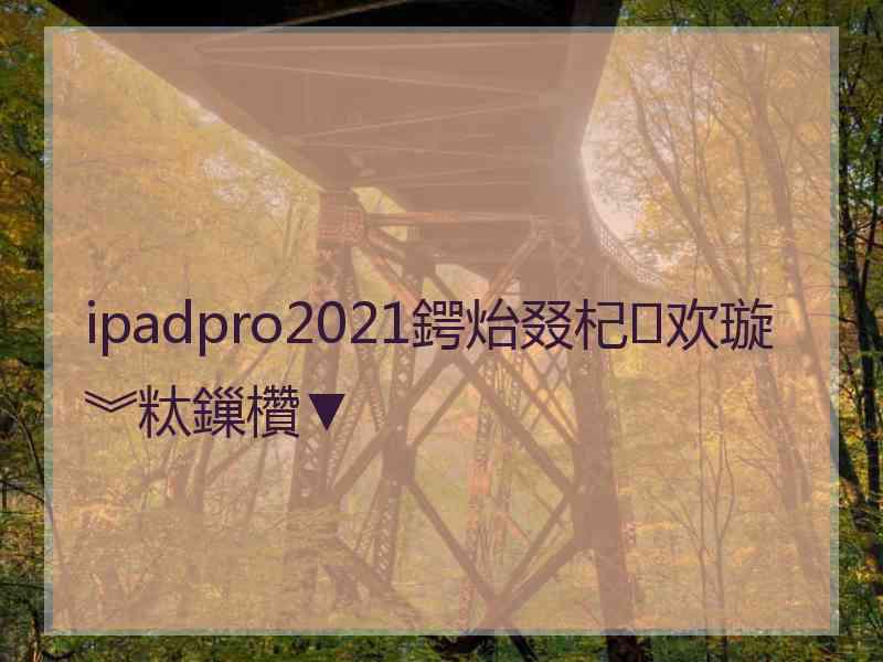 ipadpro2021鍔炲叕杞欢璇︾粏鏁欑▼