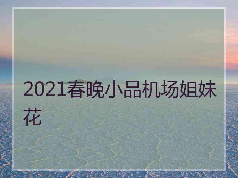 2021春晚小品机场姐妹花