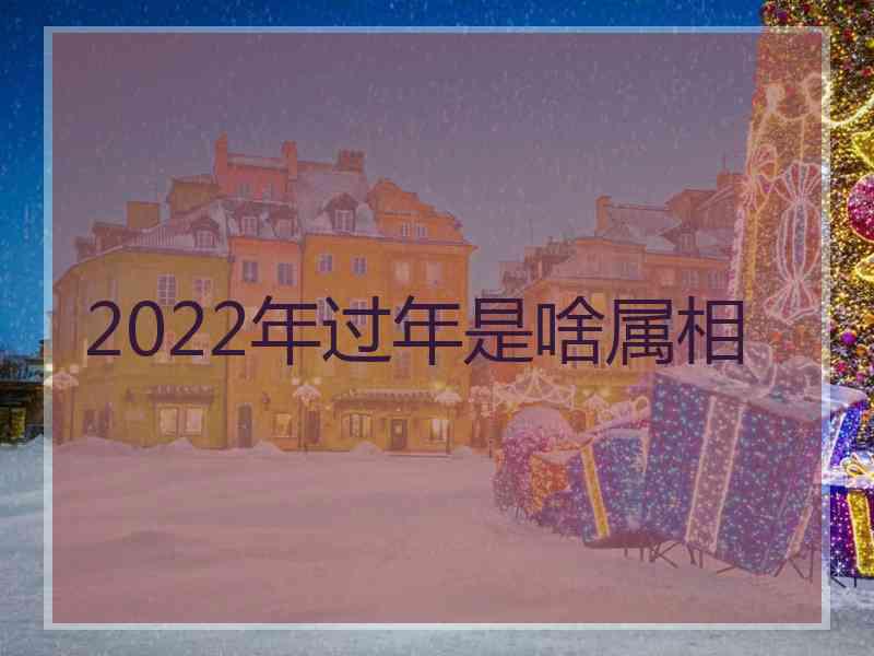 2022年过年是啥属相