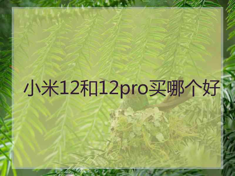 小米12和12pro买哪个好