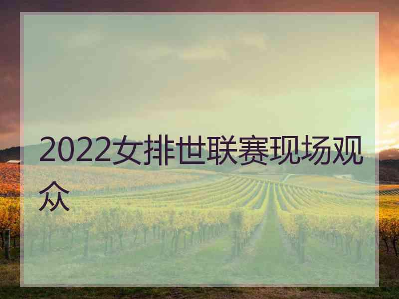 2022女排世联赛现场观众