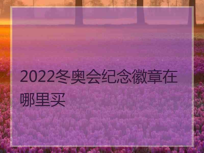 2022冬奥会纪念徽章在哪里买