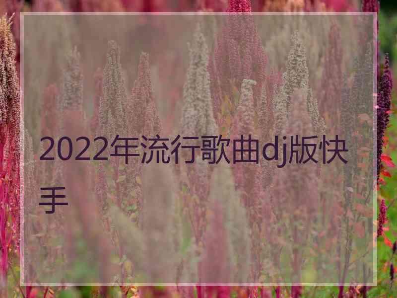 2022年流行歌曲dj版快手