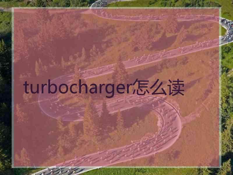 turbocharger怎么读