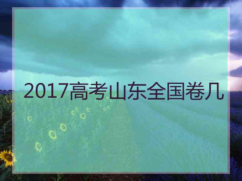 2017高考山东全国卷几