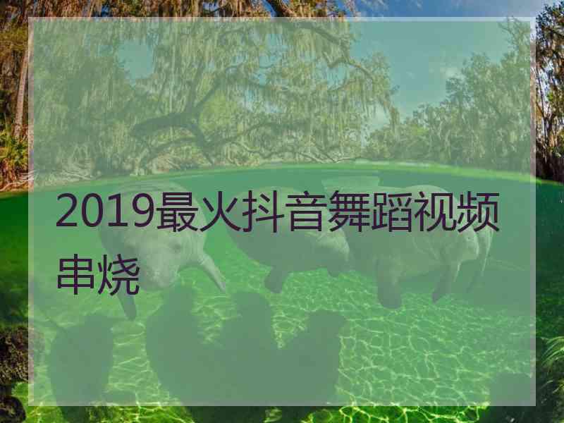 2019最火抖音舞蹈视频串烧