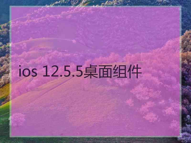 ios 12.5.5桌面组件