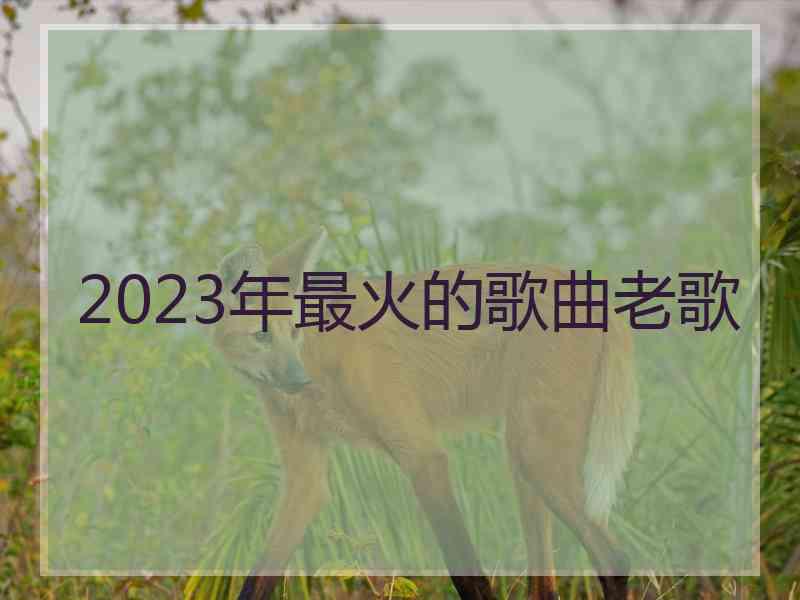 2023年最火的歌曲老歌