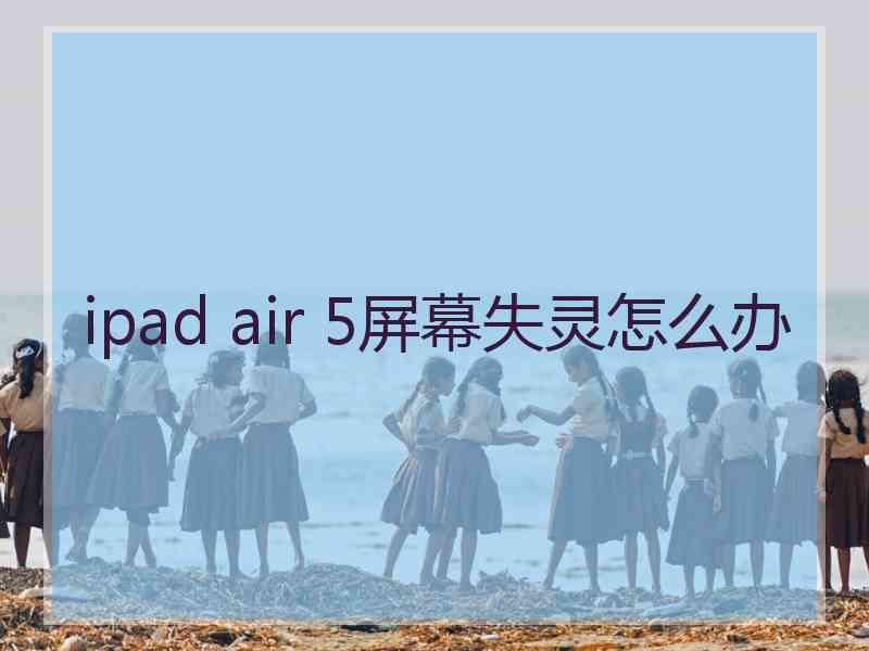 ipad air 5屏幕失灵怎么办