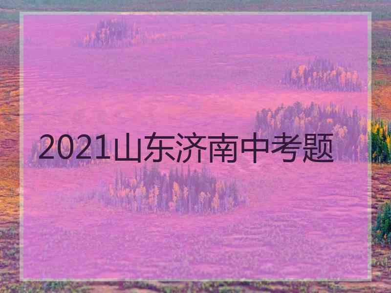 2021山东济南中考题