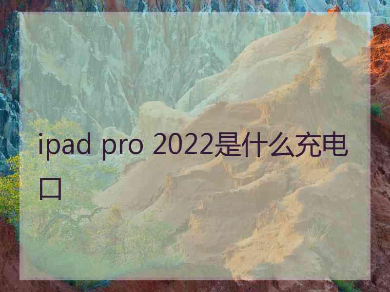 ipad pro 2022是什么充电口