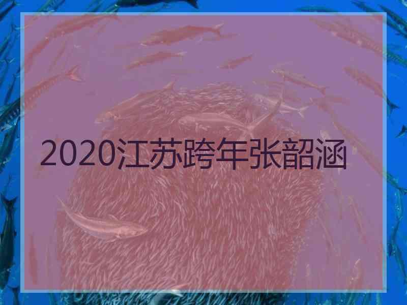 2020江苏跨年张韶涵