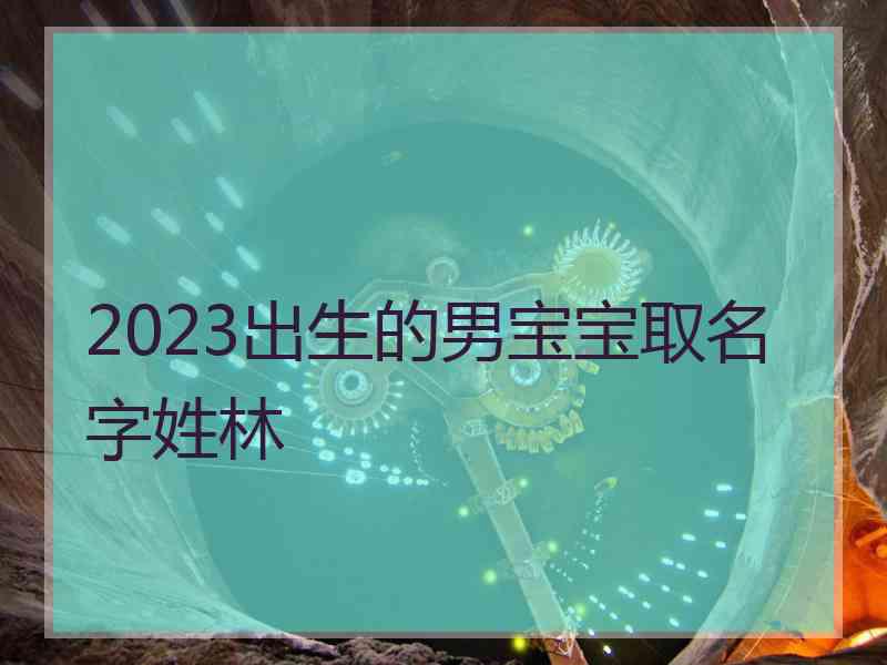 2023出生的男宝宝取名字姓林