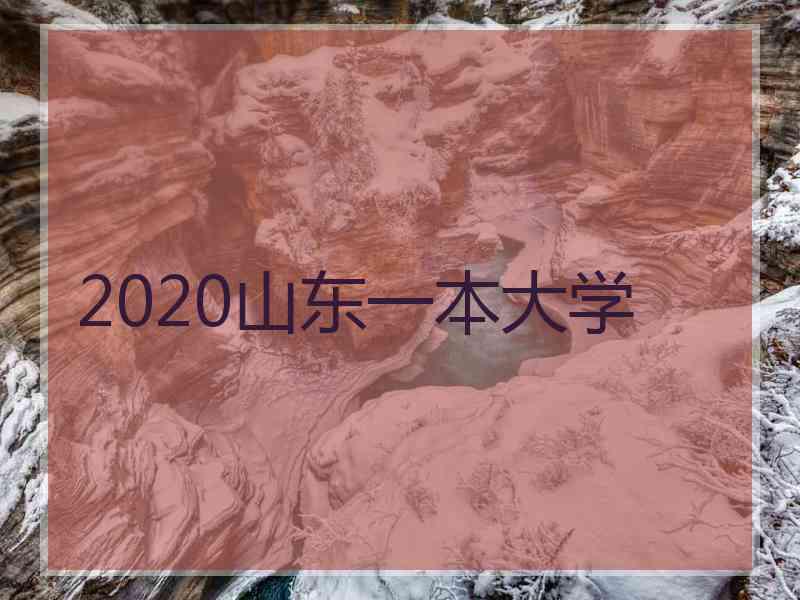 2020山东一本大学