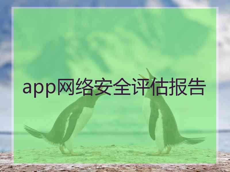 app网络安全评估报告