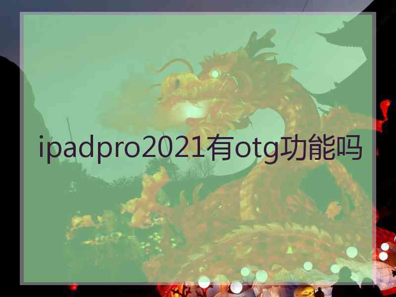 ipadpro2021有otg功能吗