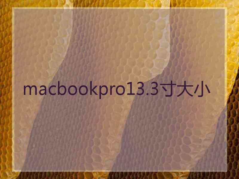 macbookpro13.3寸大小