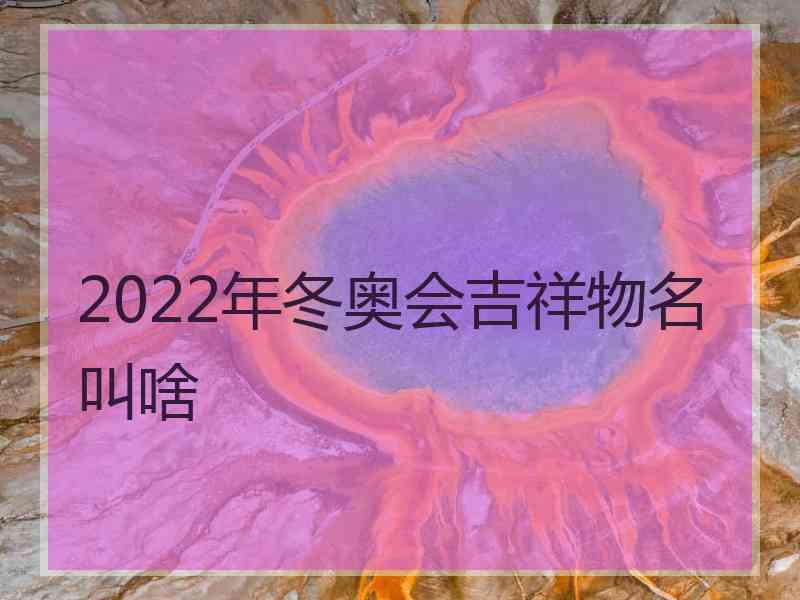 2022年冬奥会吉祥物名叫啥