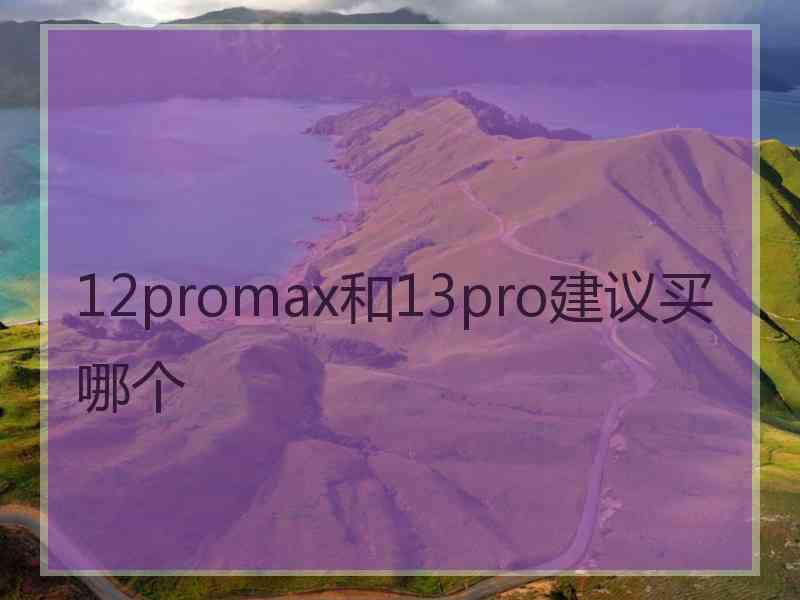 12promax和13pro建议买哪个