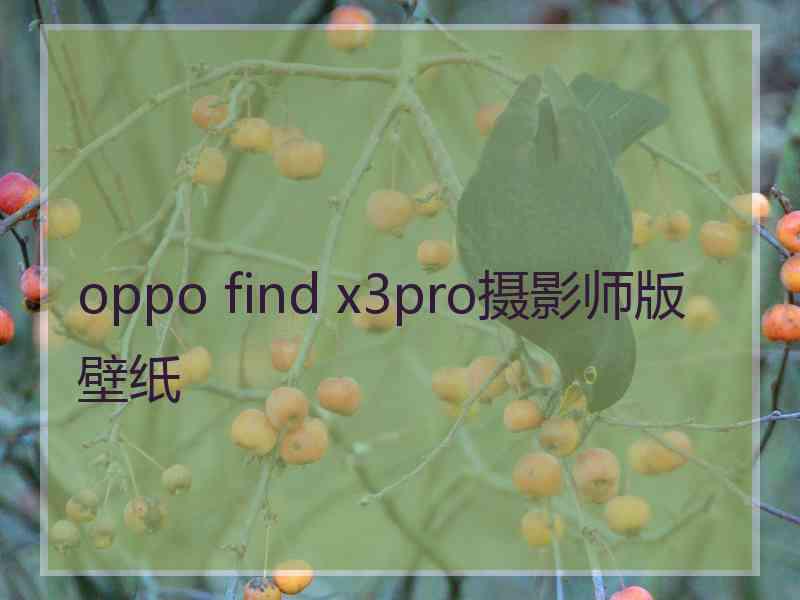 oppo find x3pro摄影师版壁纸