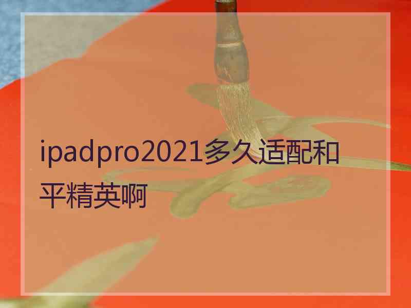 ipadpro2021多久适配和平精英啊