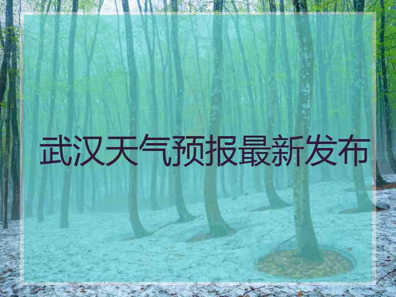 武汉天气预报最新发布