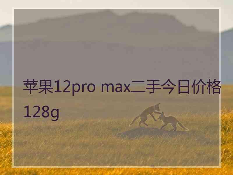 苹果12pro max二手今日价格128g