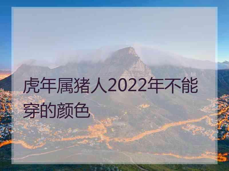 虎年属猪人2022年不能穿的颜色