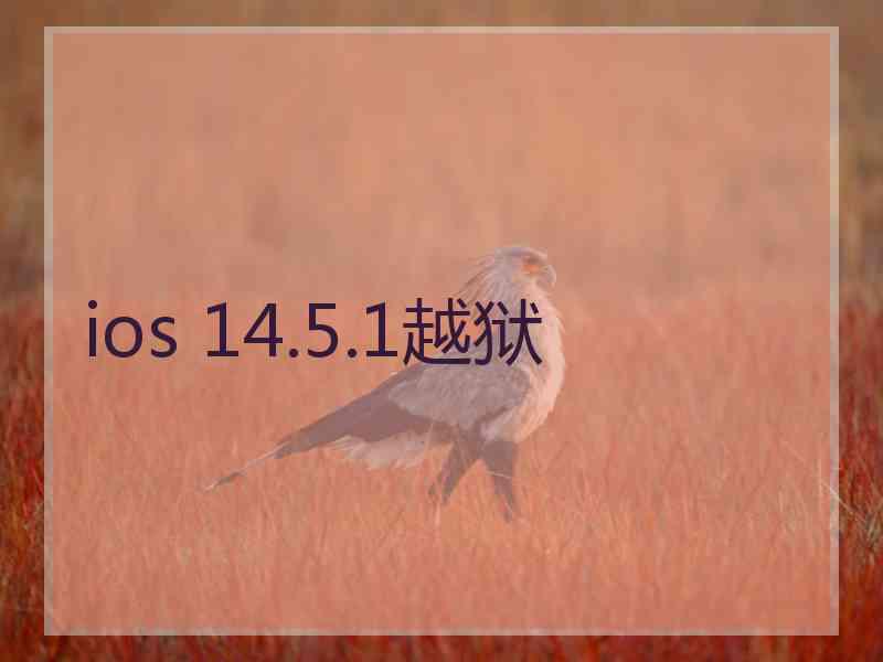 ios 14.5.1越狱