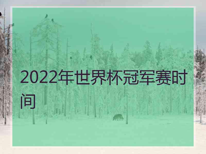 2022年世界杯冠军赛时间