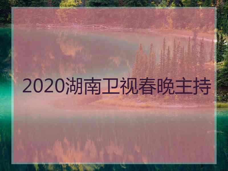 2020湖南卫视春晚主持