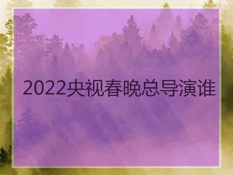 2022央视春晚总导演谁