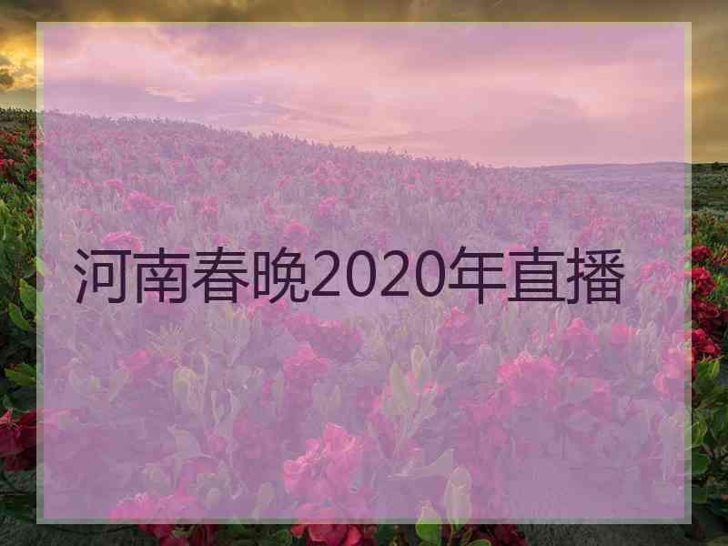 河南春晚2020年直播