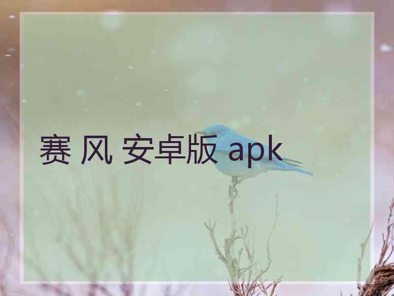 赛 风 安卓版 apk