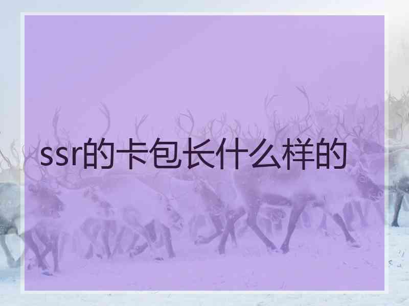 ssr的卡包长什么样的