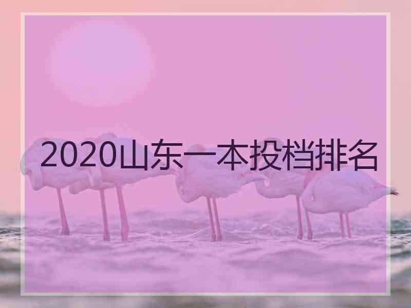 2020山东一本投档排名