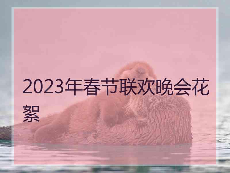 2023年春节联欢晚会花絮