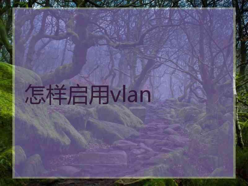 怎样启用vlan