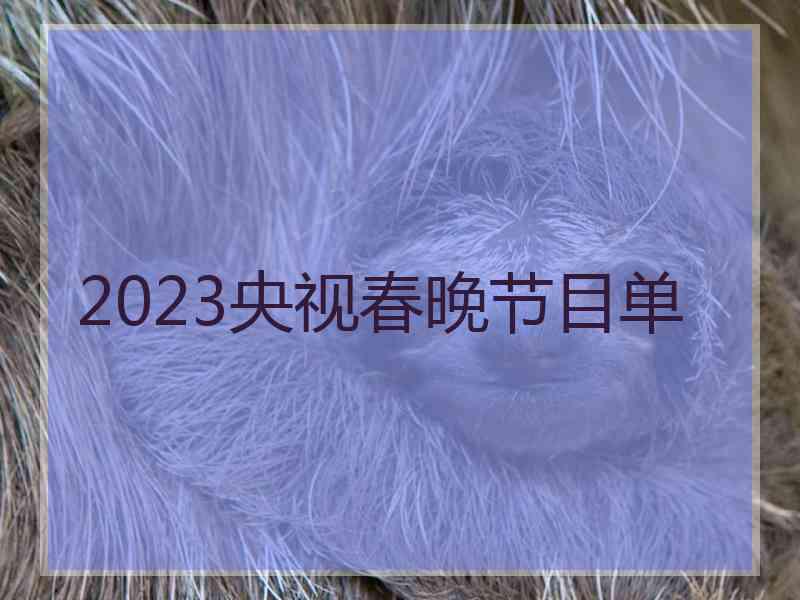 2023央视春晚节目单