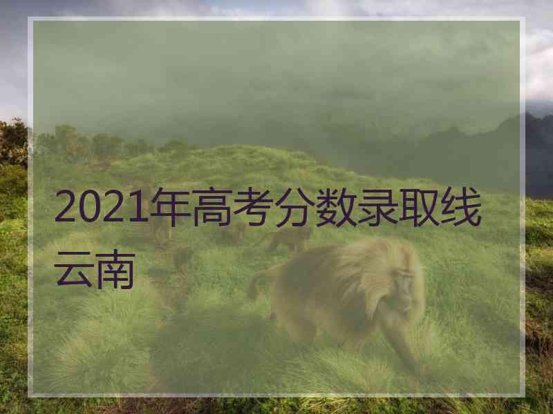 2021年高考分数录取线 云南