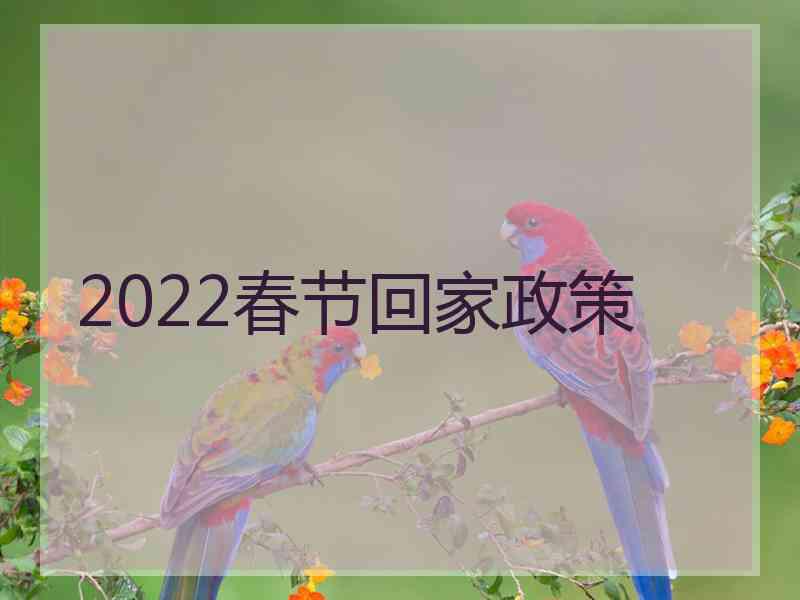 2022春节回家政策