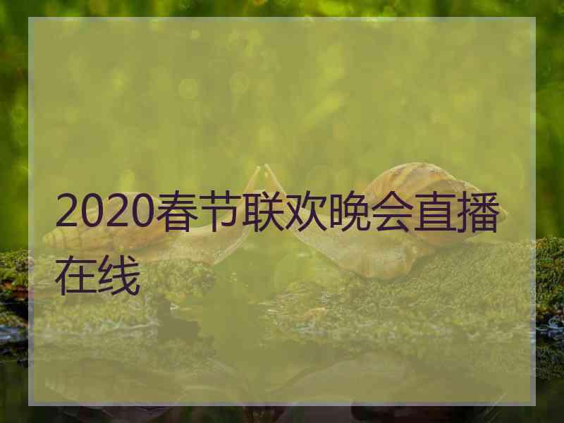 2020春节联欢晚会直播在线